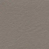 Distressed leather texture, gray-brown mottled surface, irregular bumpy pattern with fine dark grain lines, muted matte finish.